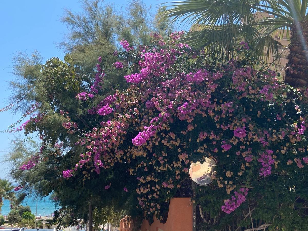 Alicante Apartamento En La Playa Muchavista-San Juan - Marluma Frente Al Mar La Venteta Zewnętrze zdjęcie
